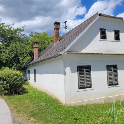 Burgenländischer Streckhof mit viel Potential - 1679 m² Grundstück BW in Kemeten! - Bild 3