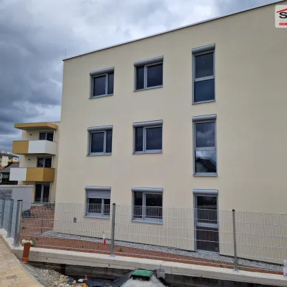 3-Zimmer-Wohnung mit Balkon und pannonischem Klima - Bild 2