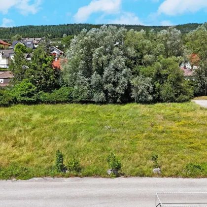 Betriebsbaugrund im Ortszentrum Pressbaum/Tullnerbach - Bild 2