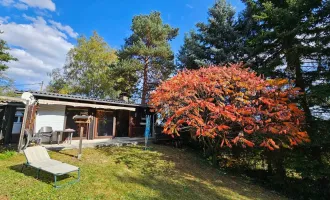 Bungalow mit großem Grundstück - ein Naturidyll - zu vermieten!