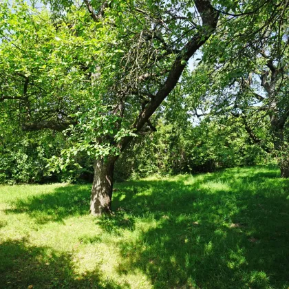 Großer Baugrund mit Altbestand in Gablitz Hochbuch - TEILBAR! - Bild 2