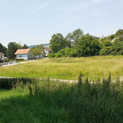 Moderner BUNGALOW im Grünen nahe Korneuburg, PROVISIONSFREI !! mit 350 bis 500m² Grundanteil - Bild 2