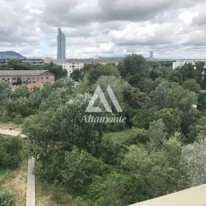 Eindrucksvoller Blick über Wien und Grün zu Füßen - Bild 2