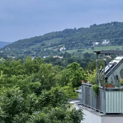 Gepflegte DG-Wohnung mit Klima, Terrasse und Garten - Bild 2