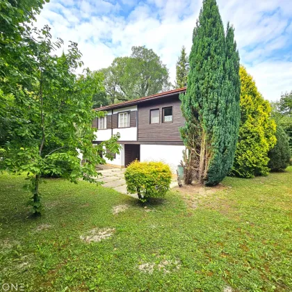 Traumhaftes Ferienhaus in der Strandbadsiedlung Klosterneuburg - Bild 2