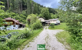 Altbestand auf wunderschönem Grundstück, gesamt ca. 4.700m² (Bauland/Wiesen/Wald) beim Wald nach der Hermannshöhle in absoluter Ruhe- & Naturlage.