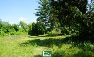 Einmaliger Baugrund, in wunderschöner Lage mit Altbestand.