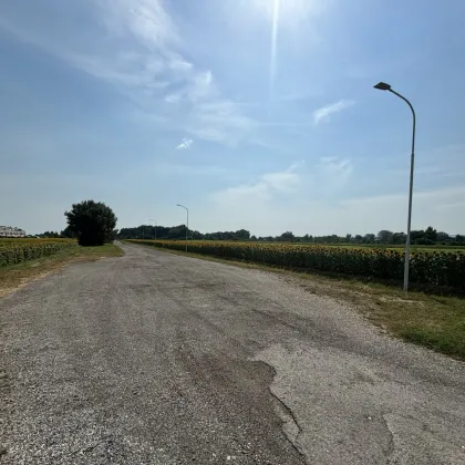 Grünland in zentraler Lage in Neusiedl am See - Bild 3