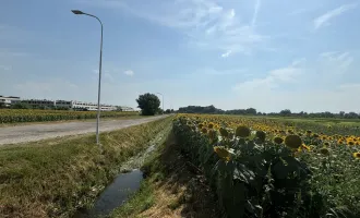 Grünland in zentraler Lage in Neusiedl am See