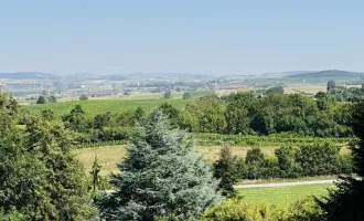 Bisamberg ! Großes stilvolles Familienhaus am Fuße des Bisambergs mit traumhafter Aussicht !