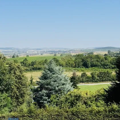 Bisamberg ! Großes stilvolles Familienhaus am Fuße des Bisambergs mit traumhafter Aussicht ! - Bild 2