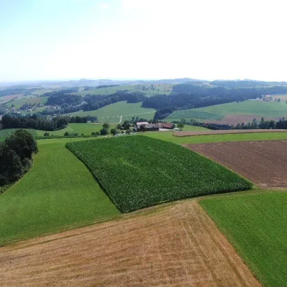 Grundstück mit landwirtschaftlicher Nutzung in 4724 Eschenau/Altenberg - Bild 2