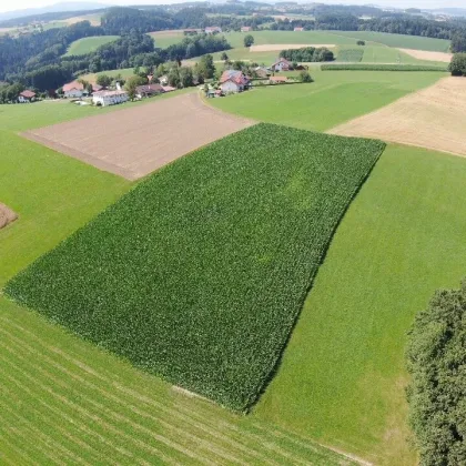 Grundstück mit landwirtschaftlicher Nutzung in 4724 Eschenau/Altenberg - Bild 3