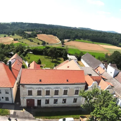 Stadthaus mit Ausbaupotential und Traumgarten - Bild 2