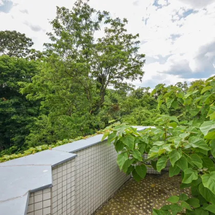 Mehrheitsanteil an wunderschöner Villa mit Blick auf den Türkenschanzpark - Bild 3