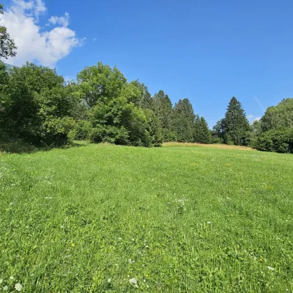 Aufgepasst 3 Grundstücke: Traumhafte Grundstücke - 8.740 m² zum Verwirklichen Ihrer Träume! - Bild 2