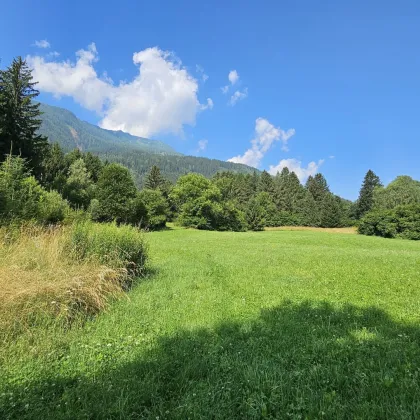 Aufgepasst 3 Grundstücke: Traumhafte Grundstücke - 8.740 m² zum Verwirklichen Ihrer Träume! - Bild 3