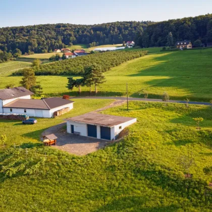 Landwirtschaftliches Anwesen im Rohbau – Gestalten Sie Ihre Zukunft - Bild 3