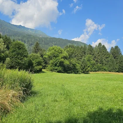 2 Grundstücke - Wohnen und Landwirtschaft vereinen. Idyllische Lage in Penk. - Bild 2