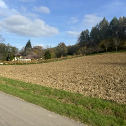 Großzügiges 4.069m² großes, sonniges Baugrundstück - Bild 3