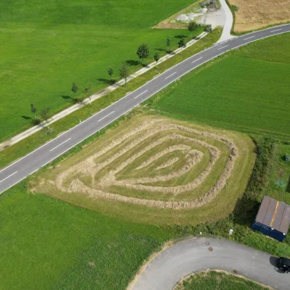 Traumhaftes Baugrundstück in Ottenschlag - Bild 3