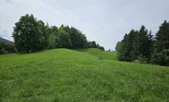 Traumhaftes Baugrundstück mit Planungsvorschlag