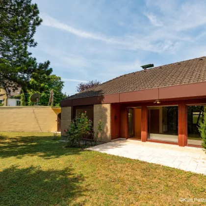 Charmantes Einfamilienhaus mit wunderschönem Garten in Grünlage - Bild 3