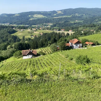 Idyllisches Anwesen in den Weinbergen der Weststeiermark - Bild 2