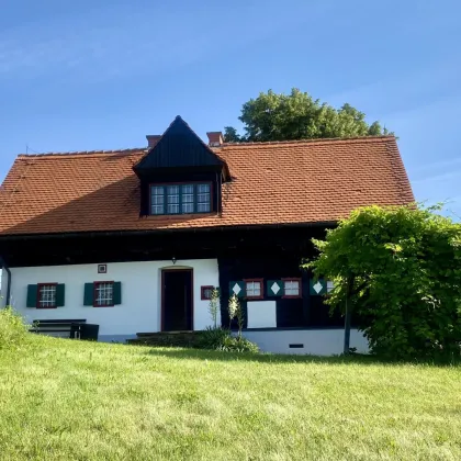 Idyllisches Anwesen in den Weinbergen der Weststeiermark - Bild 3