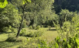 Traumhaftes Baugrundstück in idyllischer Lage der Hinterbrühl - Perfekt für Ihr Eigenheim!