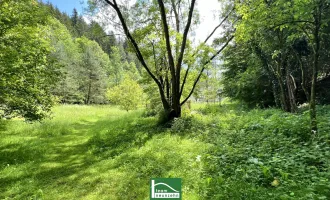 Zurück zur Natur in Kirchberg. Einzigartiges Baugrundstück, ca. 20-30% bebaubar, in absoluter Ruhe- & Naturlage. (gesamt ca. 4.700m²)