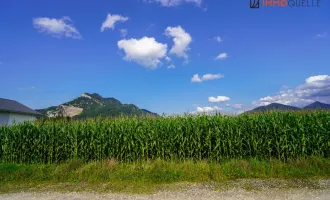 Zwei einmalige Baugrundstücke in Leonstein zu verkaufen