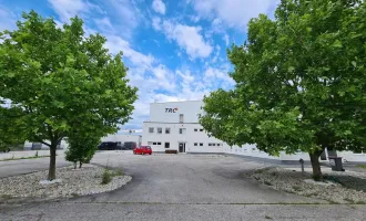 Büro im Gewerbegebiet, 8 Minuten zum Zentrum von Wiener Neustadt