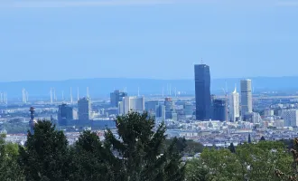 Doppelhaus oder Einfamilienhaus  - DER BLICK!