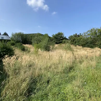 Baugrundstück in Judenau - Perfekt für Ihr Eigenheim - Jetzt zugreifen - Bild 3