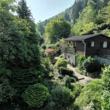 Traumhaftes Baugrundstück in Neulichtenberg - Ihr Eigenheim in Oberösterreich für nur 280.000 €! - Bild 3