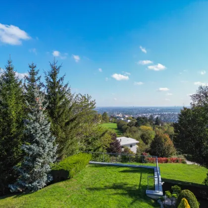 Höhenflug am Ölberg: Ein Ort der Ruhe und Weite - Bild 3