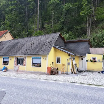 Teilsaniertes Wohnhaus in der Lipizzanerheimat - Bild 3