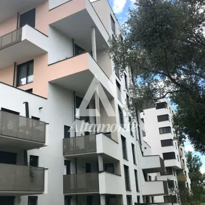 Blick über Wien  bis Kahlenberg - Balkon und Tiefgarage - Bild 2