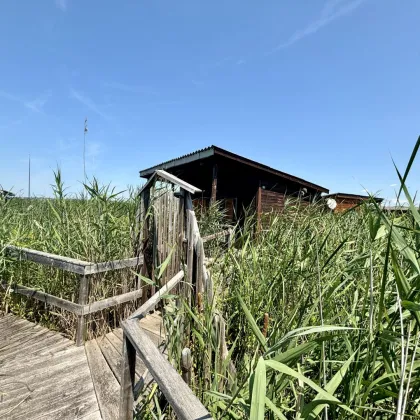 Pfahlbau in Weiden am See - Strandbadsiedlung - Bild 3