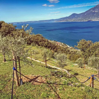 Paradiesisches Anwesen am Gardasee - Castelletto di Brenzone - Bild 2