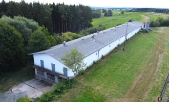 Massivbauhalle in Einzellage und großem Baulandgrundstück!