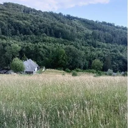 Traumhaftes Grundstück nahe Neulengbach/Altlengbach - Bild 3