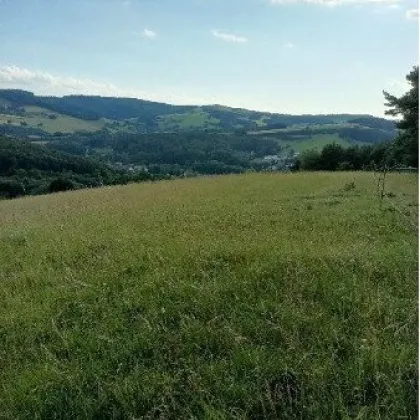 Traumhaftes Grundstück nahe Neulengbach/Altlengbach - Bild 2