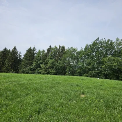 Neubauwohnhaus/Bauernhaus am Ortsrand von Hof bei Salzburg - Bild 2