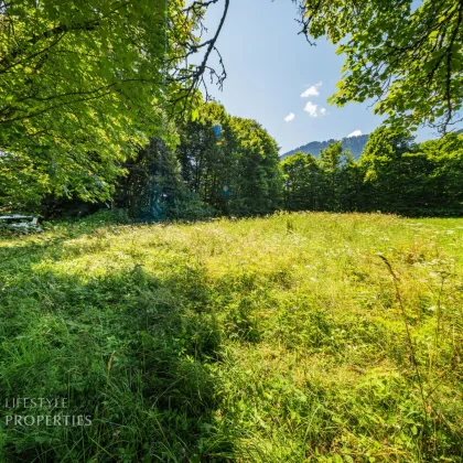 Traumhaftes Grundstück nahe Hahnenkamm - Bild 3