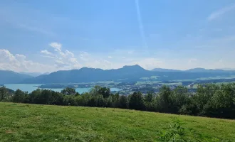 VERKAUF einer Liegenschaft in Toplage in Mondsee - UNVERBAUBARER AUSBLICK!!