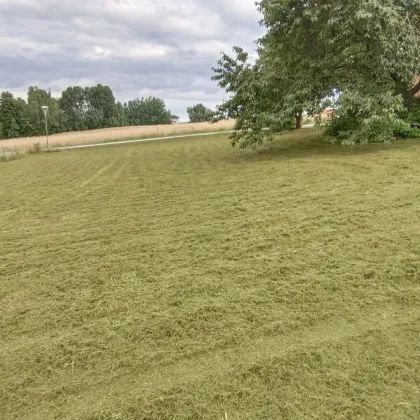 Großer Baugrund ohne Bauzwang mit schöner Aussicht! - Bild 2