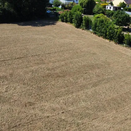 Baugrund in sonniger Lage  zu verkaufen - Bild 2