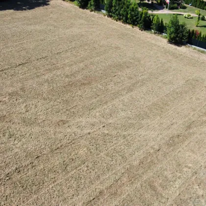 Baugrund in sonniger Lage  zu verkaufen - Bild 3